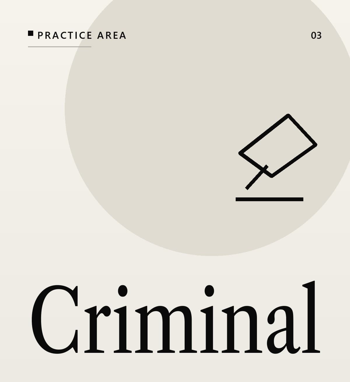 Criminal Litigation & Bail